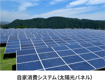 自家消費型太陽光発電所への取り組み 環境エネルギー事業 事業案内 株 日本ベネックス